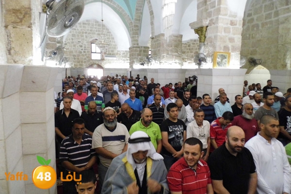 jom3aludwahbany (1).JPG